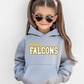 St Francis Spirit Wear - Hoodie- Adult Sizing