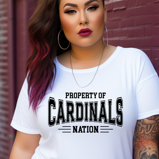 St John Brebeuf - Adult Sizing - Student and Parent Spirit Wear