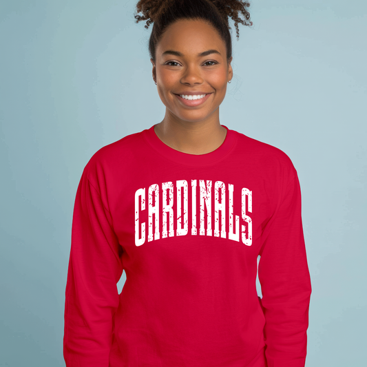 St John Brebeuf - Adult Sizing - Student and Parent Spirit Wear