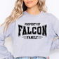 St Francis Spirit Wear - Long Sleeve Shirt - Youth Sizing