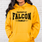 St Francis Spirit Wear - Hoodie- Youth Sizing