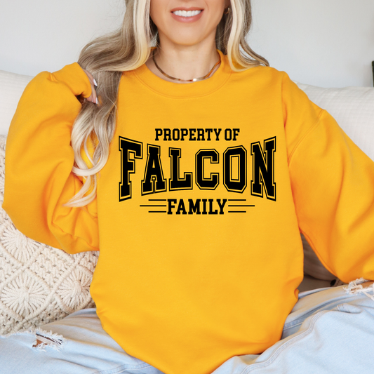 St Francis Spirit Wear -Crewneck- Adult Sizing