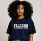 St Francis Spirit Wear - Tshirt- Youth Sizing