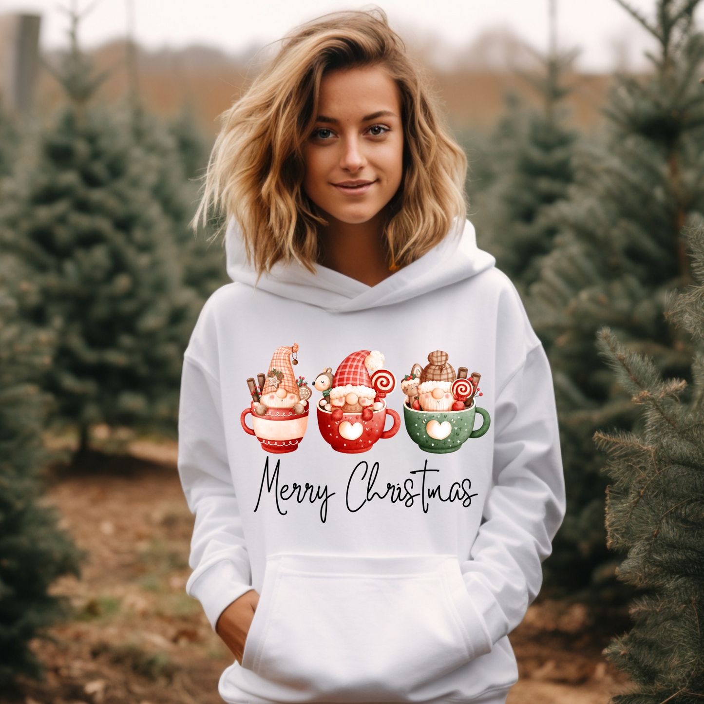 Merry Christmas Gnomes