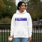St Francis Spirit Wear - Hoodie- Youth Sizing