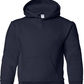 Holy Trinity - Hoodie Youth Size- Student & Parents